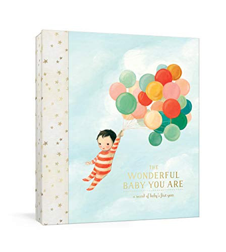 Book - Wonderful Baby You Are: First Year
